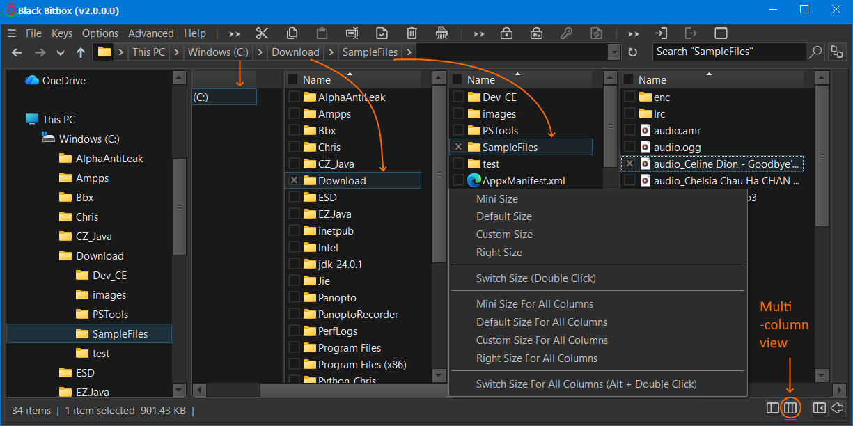 Multi-Column View
