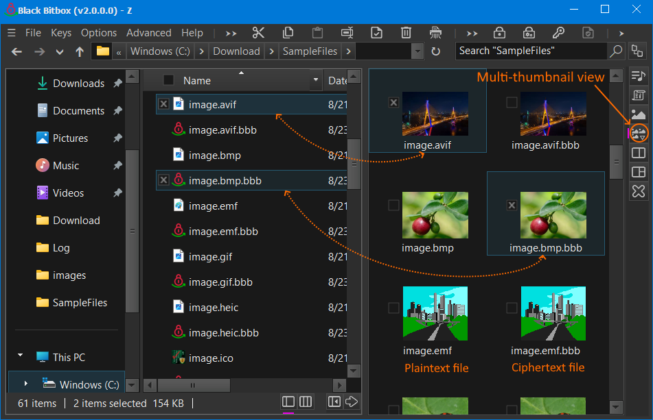 Multi-Thumbnail View