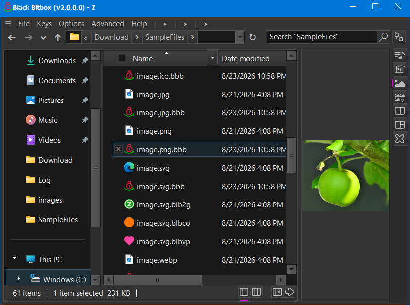 Native Windows Explorer UI